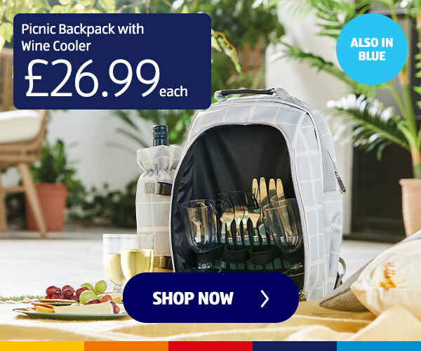 picnic-backpack-with-wine-cooler