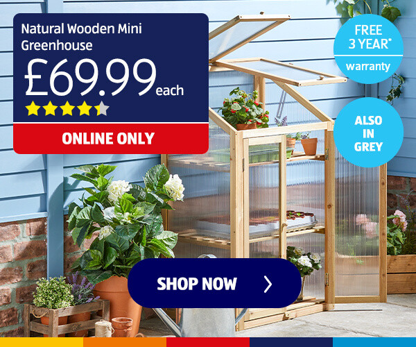 Natural Wooden Mini Greenhouse