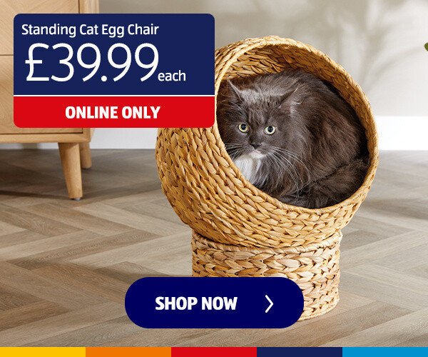 standing-cat-egg-chair