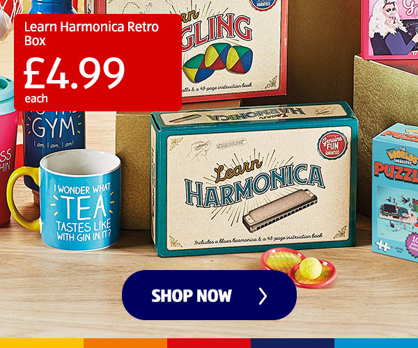 Learn Harmonica Retro Box - Shop Now