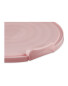 Pink Cake Containers 2 Pack