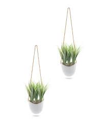 Grass Leaf Hanging Wall Plants
