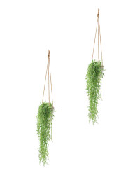 Round Leaf Ceramic Hang Plants