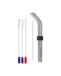 Stainless Steel Straws & Cleaner Set