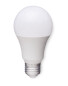 LED Lightbulb 10W A60 ES