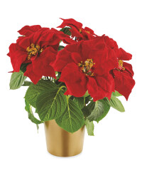Poinsettia In Ceramic