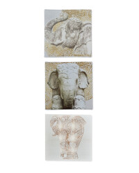 3 Pack Elephant Canvases