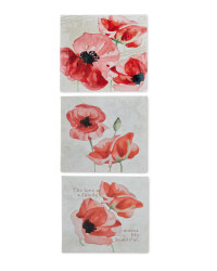 3 Pack Poppy Canvases