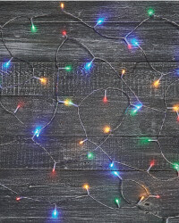 50 Clear Cable Multicoloured Lights