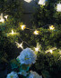 25 LED Dragonflies Garden Lights