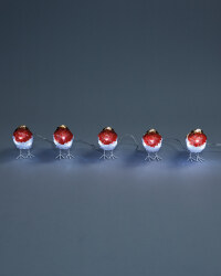 Robin Acrylic Characters 5 Pack