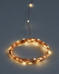 Copper Wire Warm White Mini Lights