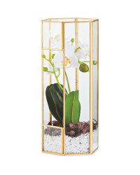 Faux White Orchid In Glass Terrarium