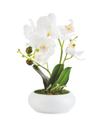 Faux White Orchid In Ceramic
