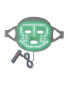 Visage LED Face Mask