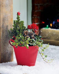 Red Outdoor Zinc Planter