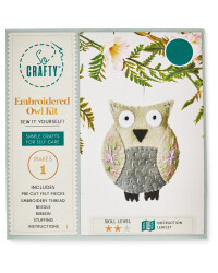 So Crafty Owl Craft Character Kit