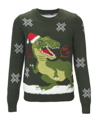 Kids' Dinosaur Jumper With Sound