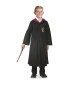 Harry Potter Fancy Dress Costume