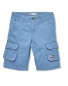 Boy's Blue Shorts