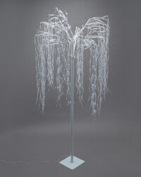 8Ft White Willow Tree