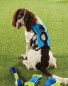 Blue Adventure Dog Harness
