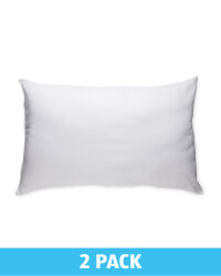 Anti Allergy Embossed Pillow Pair