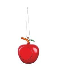 Apple Glass Bird Feeder