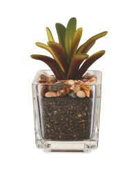 Artificial Arching Succulent
