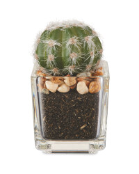 Artificial Rounded Succulent