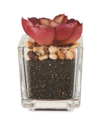 Artificial Low-Leafed Succulent