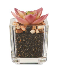 Artificial Pointed Succulent