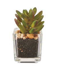 Artificial Multi-Tone Succulent