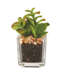 Artificial Full Succulent