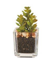 Artificial Branched Succulent