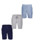 Avenue Men's Linen Blend Shorts