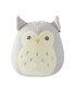 Baby Owl Squishmallow & Friends