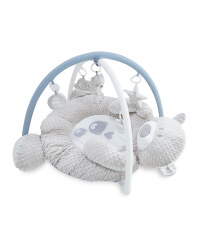 Bear Play Gym