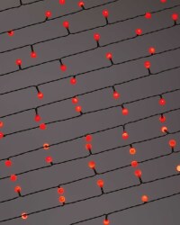 Berry Lights - Red