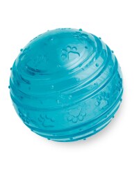 BioSafe Puppy Ball - Blue