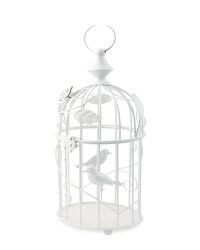 Birdcage & Bird Lantern