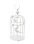 Birdcage & Bird Lantern