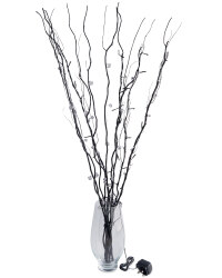 Black Twigs with Smoked Jewels