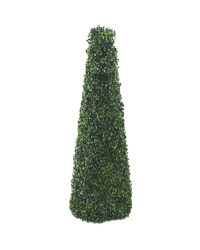 Boxwood Obelisk Cone
