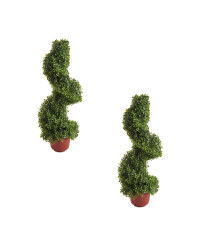 Boxwood Topiary Spiral 2 Pack