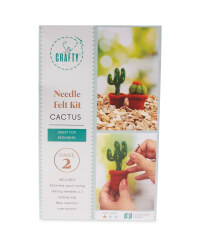 Cactus Needle Felting Kit