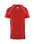 Children's Rugby T-Shirt Wales