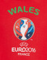 Children's Wales UEFA 2016 Hoody