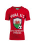 Children's Wales UEFA 2016 T-Shirt