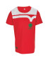 UEFA Children's Wales Fan Shirt